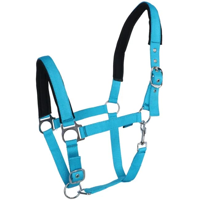Capezza Fluo Norton