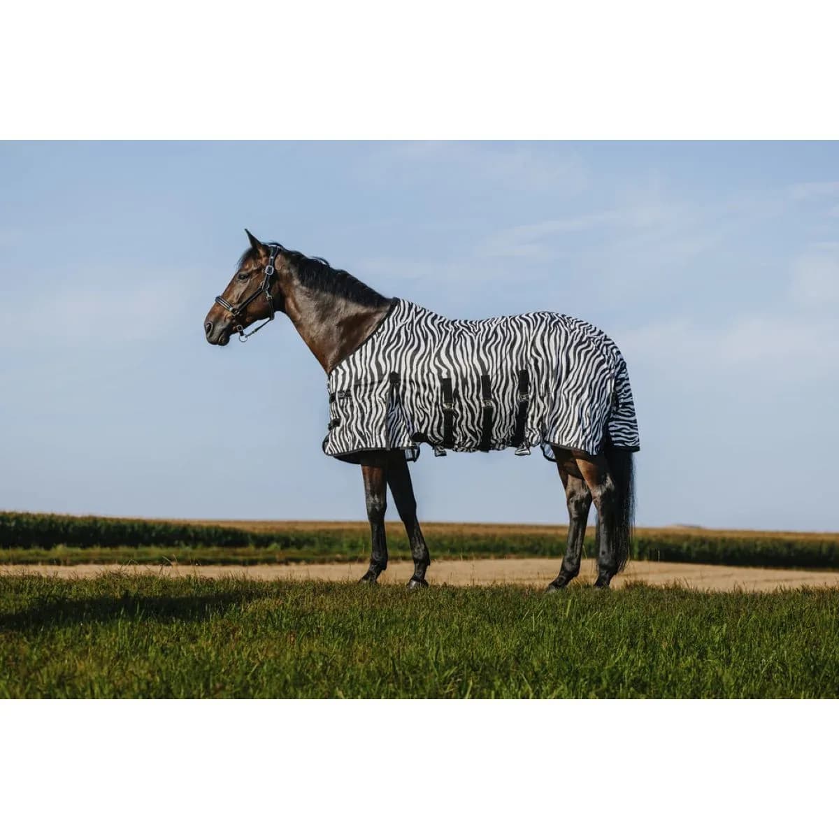 Coperta Antimosche Belly Mesh Zebra Riding World — foto 1