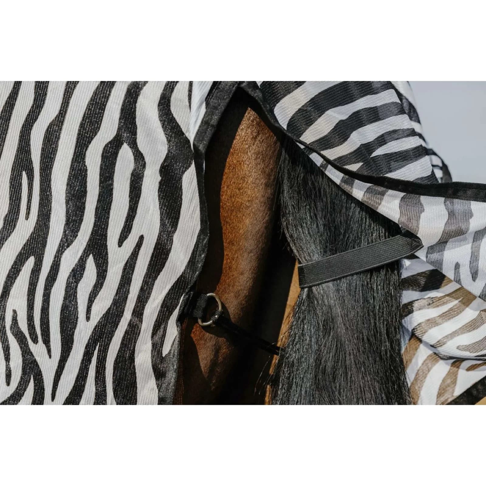 Coperta Antimosche Belly Mesh Zebra Riding World — thumbnail 4