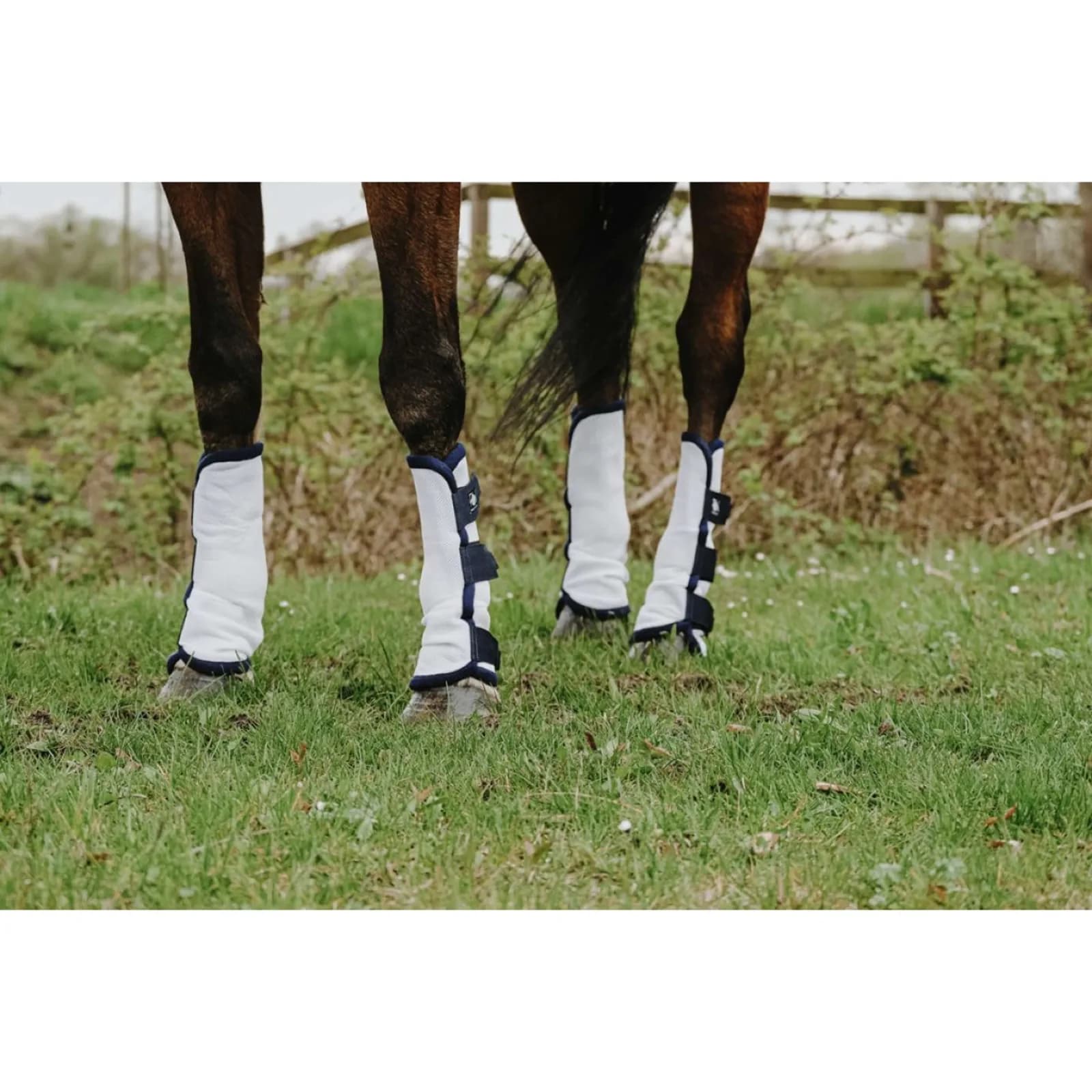 Protezioni arti anti mosche Riding World — thumbnail 3