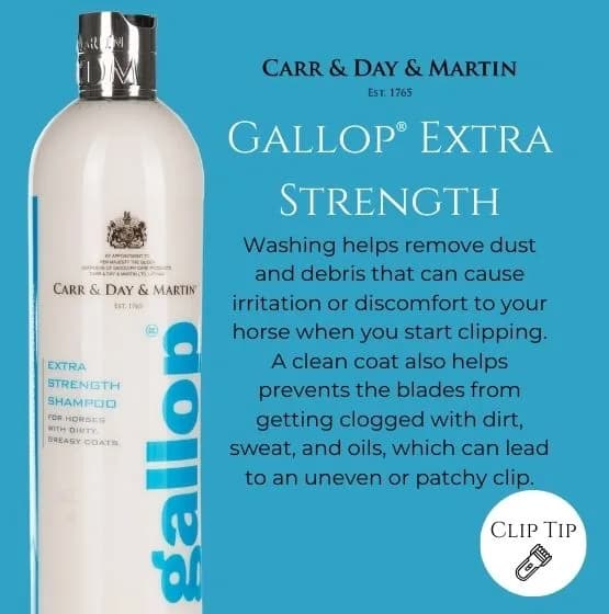 Shampoo Gallop® Smacchiatore 500ml — thumbnail 2