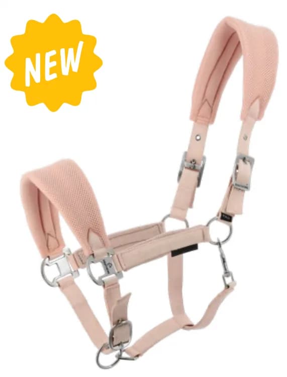 Capezza Breeze EQUITHÈME