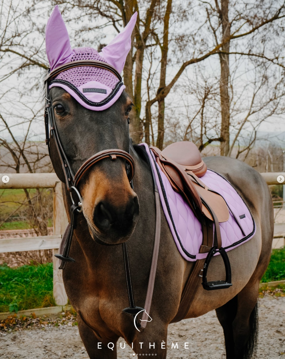 Prodotti EQUITHÈME