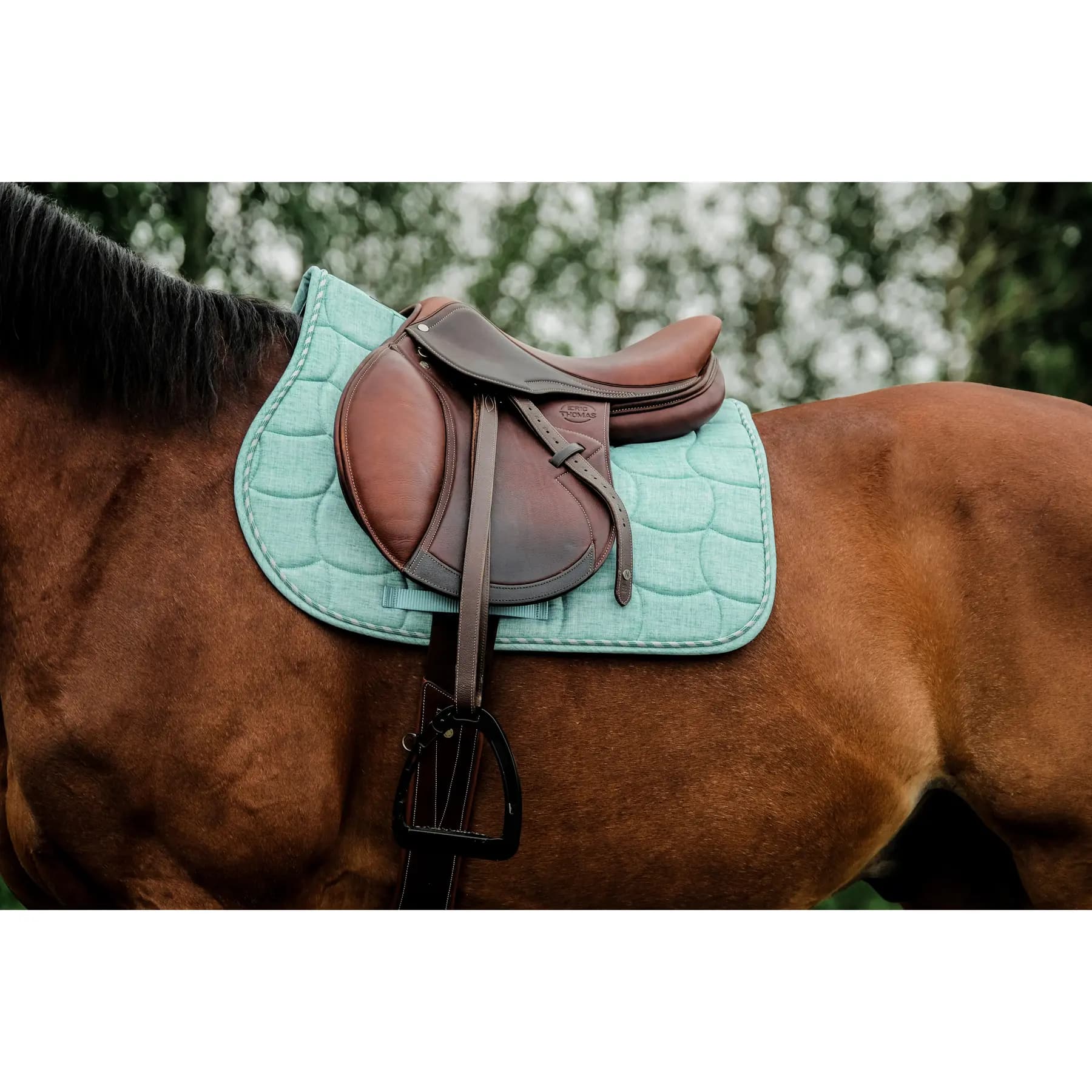 Prodotti Riding World